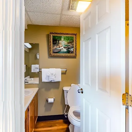 Pigeon Forge Paradise Room photo